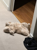 Plush Cat Cave Bed
