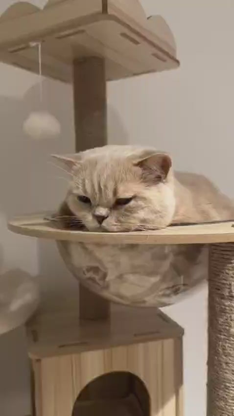Multi-Level Cat Tree